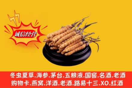 东乌珠穆沁旗名酒回收冬虫夏草.jpg